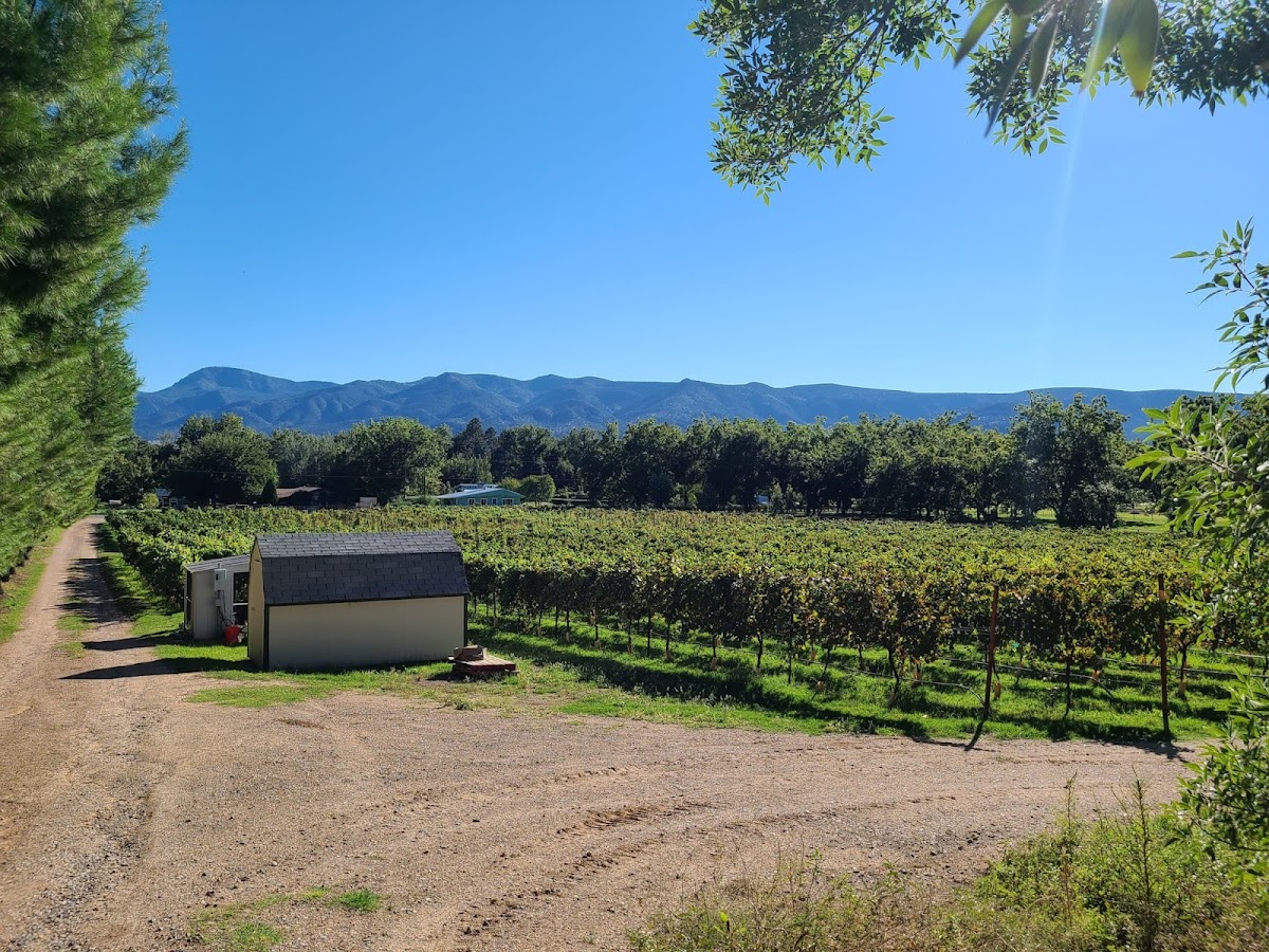 Salt Mine Vineyards