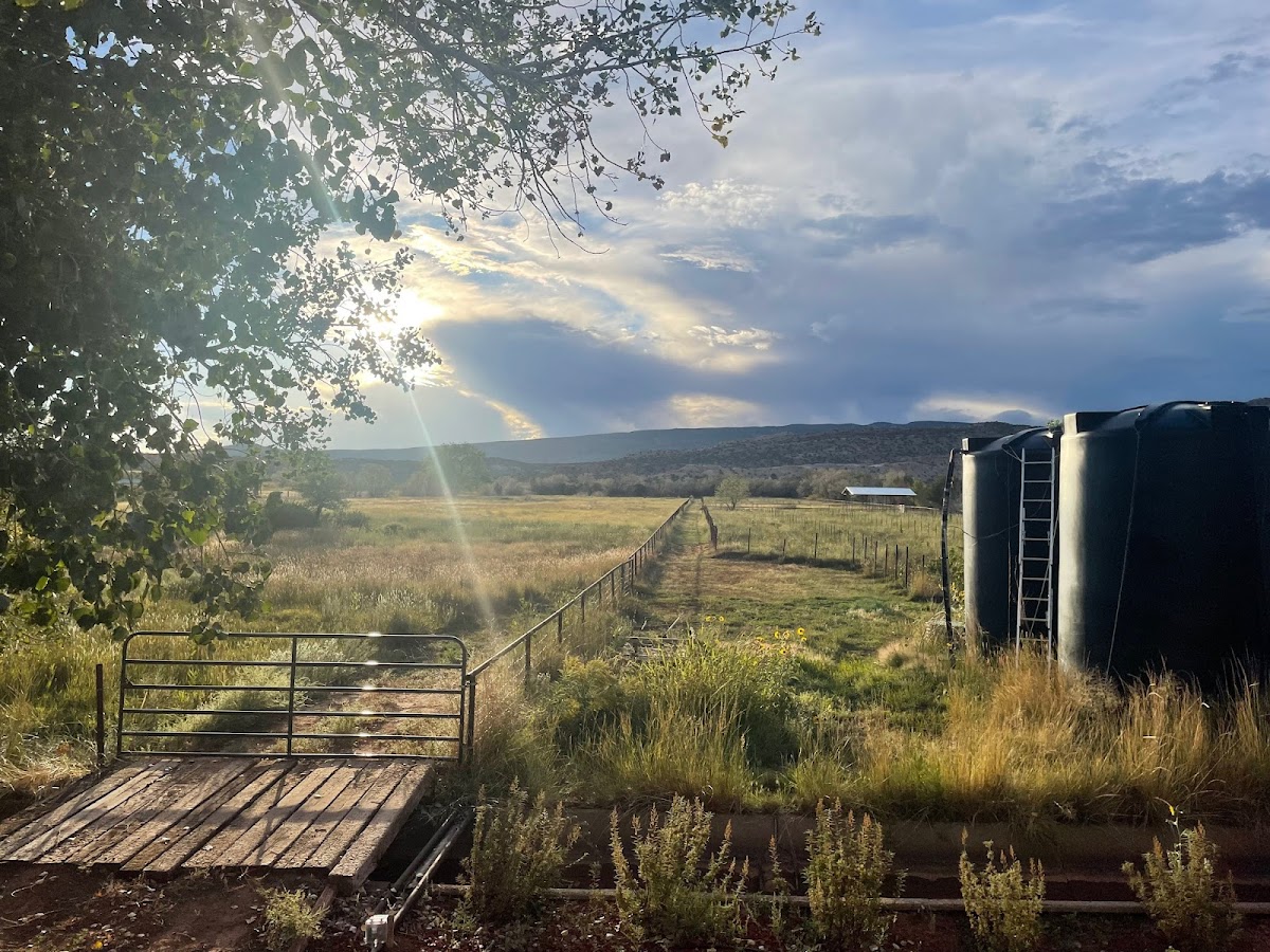 San Isidore Vineyards