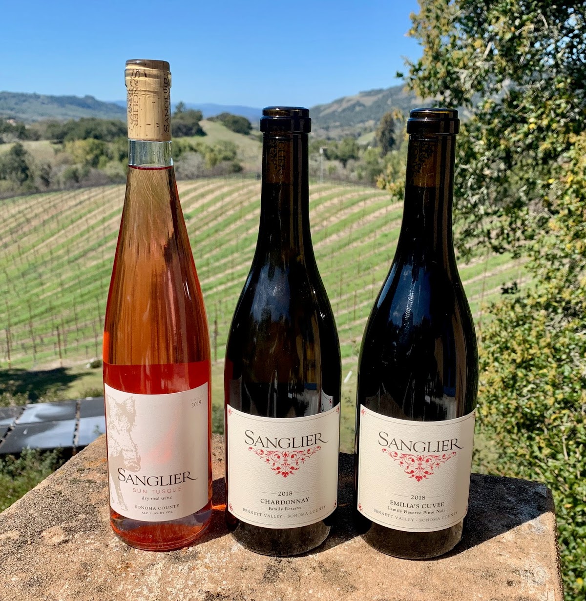 SANGLIER CELLARS