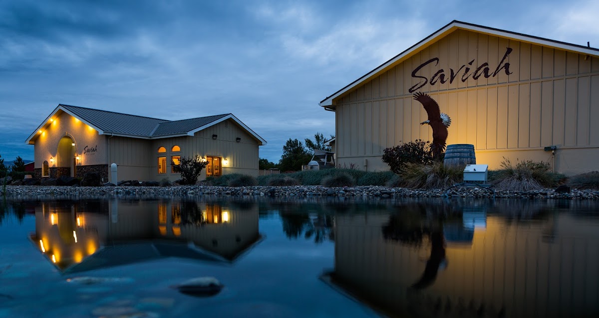 Savvy Vineyard