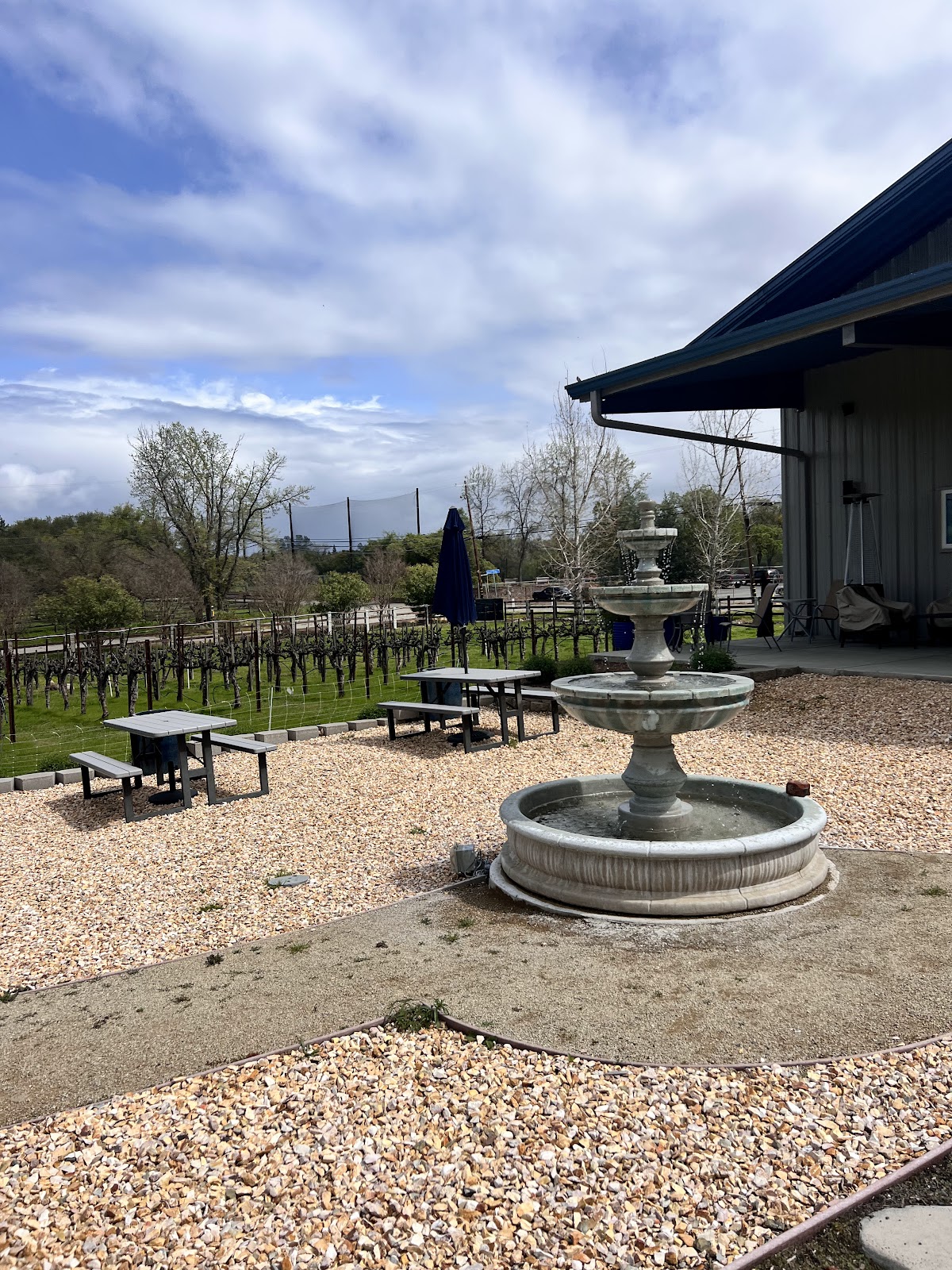 Secret Ravine Vineyards