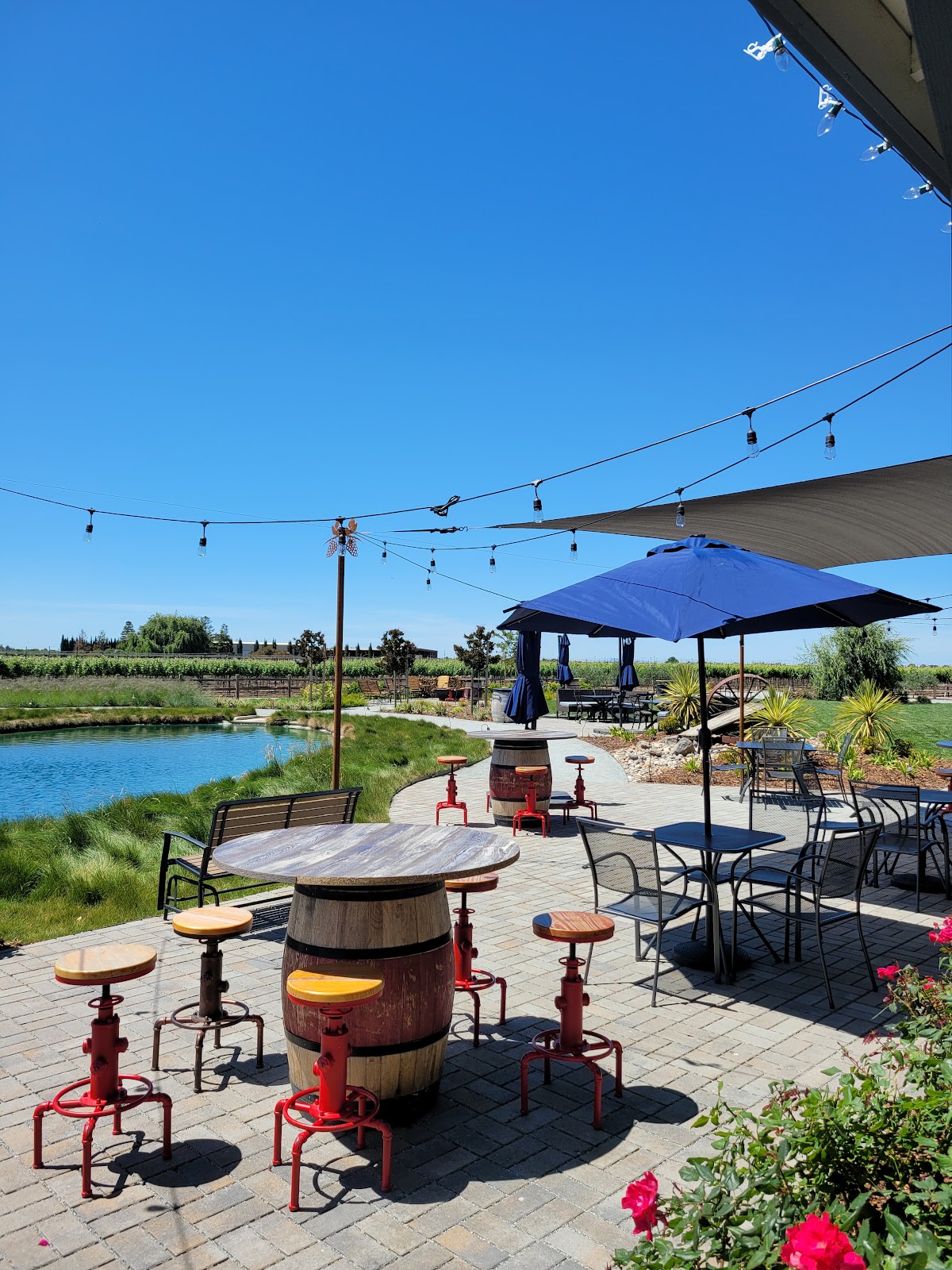 Serendipity Cellars LLC