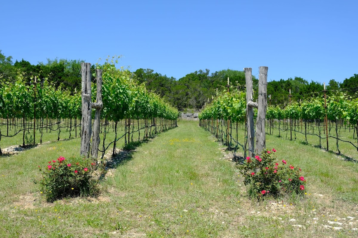 Seventh Son Vineyards, LLC