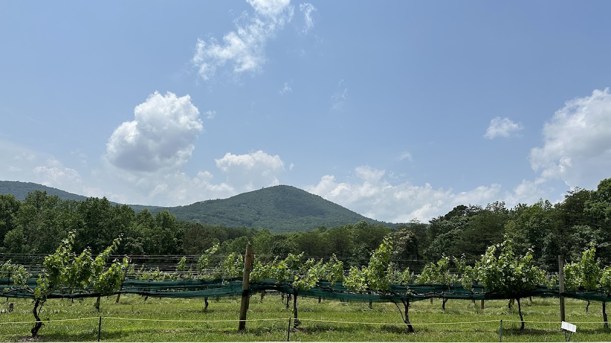 Sharp Mountain Vineyards