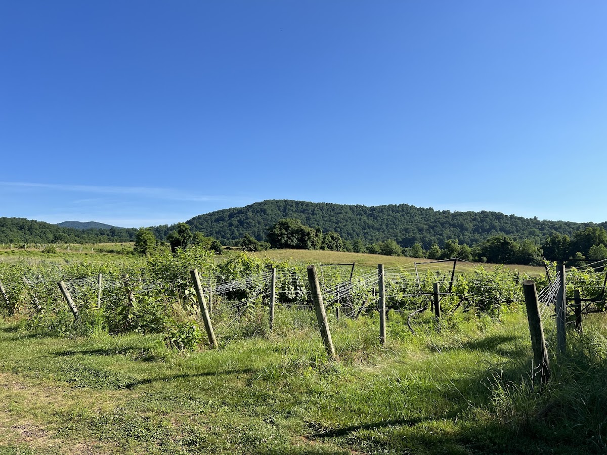 SHARP ROCK VINEYARDS