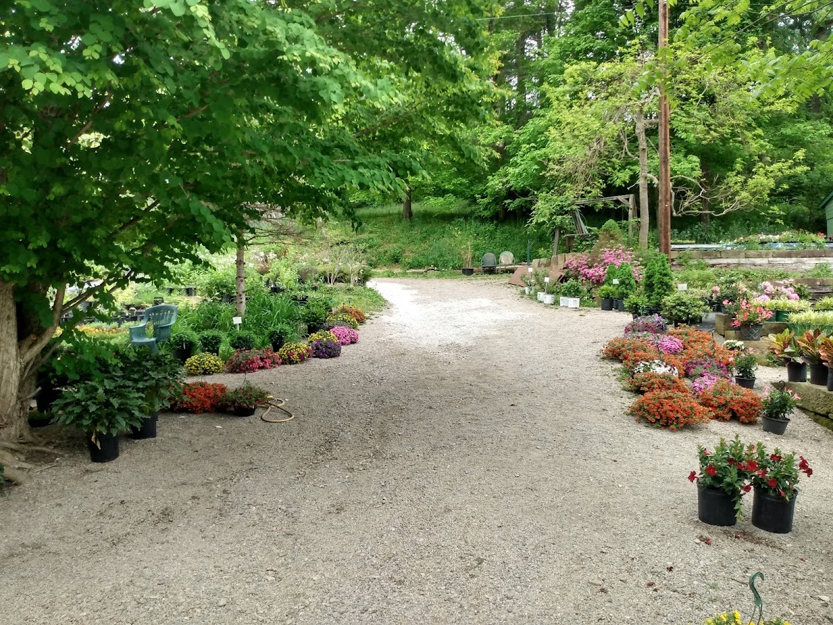 Shields Demesne Winery