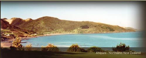 Shipwreck Bay Wines