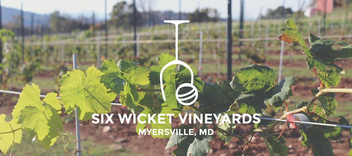 SIX WICKET VINEYARDS, LLC