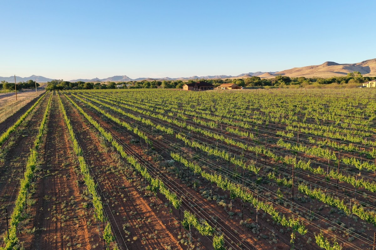 Sonoran Desert Winery
