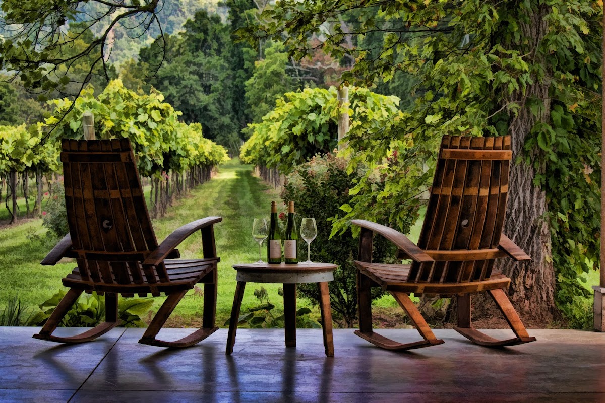 Souther Williams Vineyard