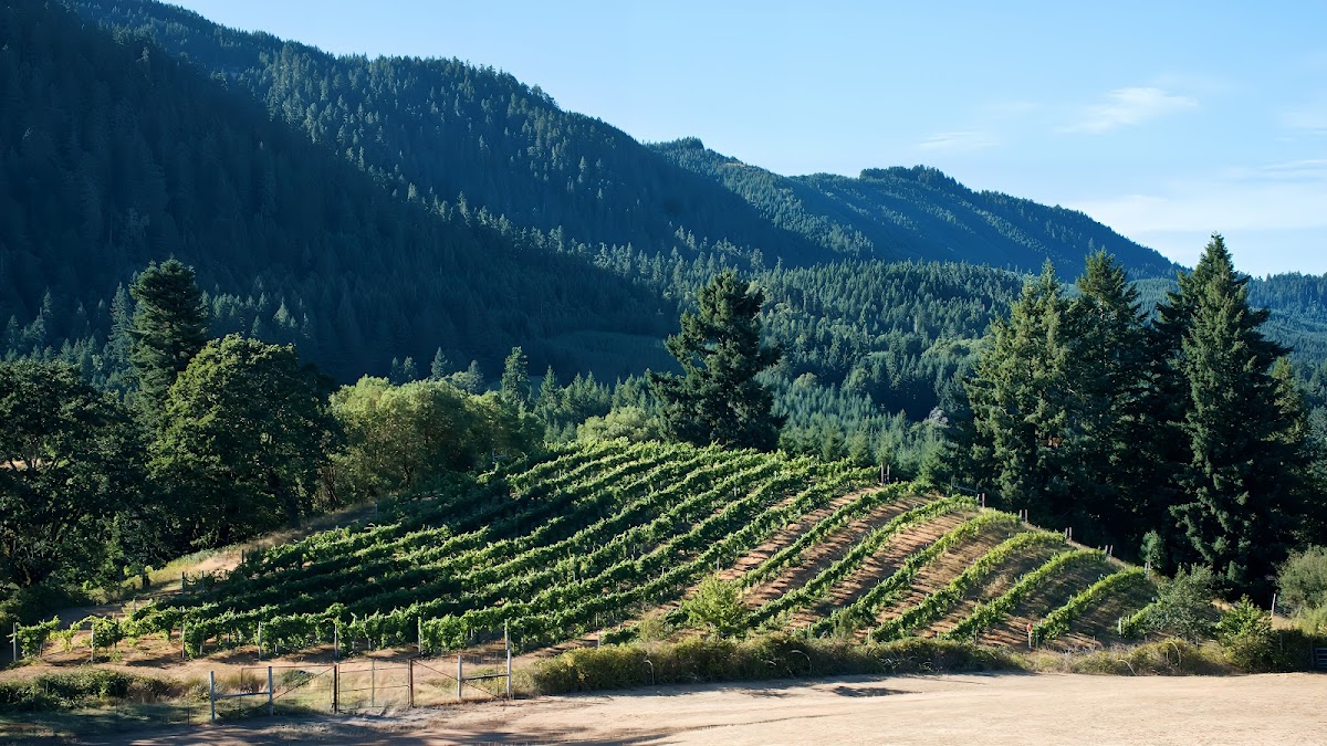 Spire Mountain Cellars