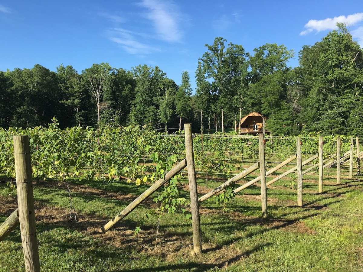 Spring Creek Wine Cellar