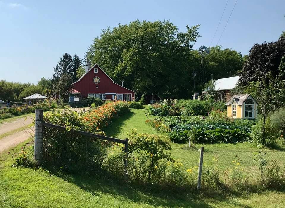 Squash Blossom Farm
