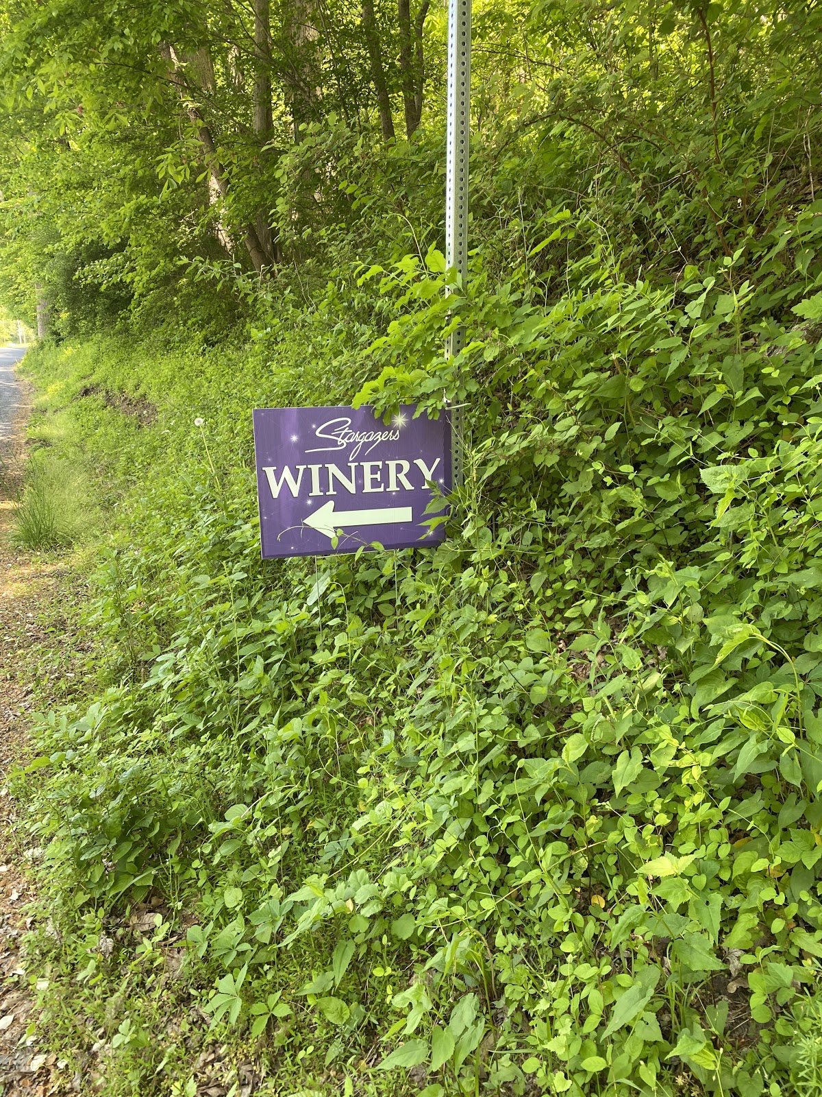 Stargazers Vineyard