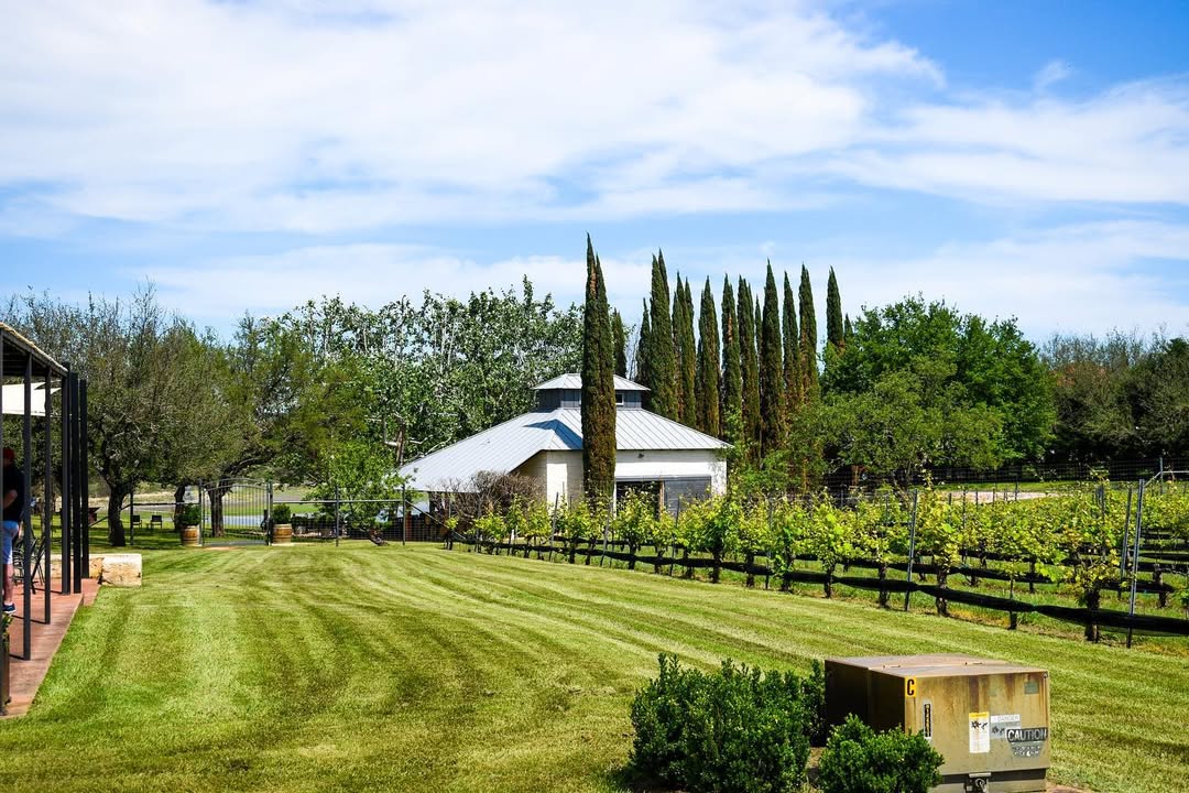 Stone House Vineyard