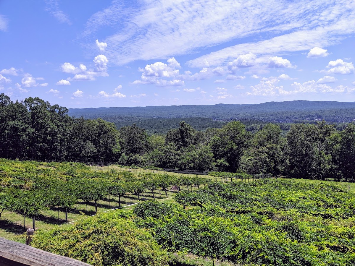 Stony Mountain Vineyards