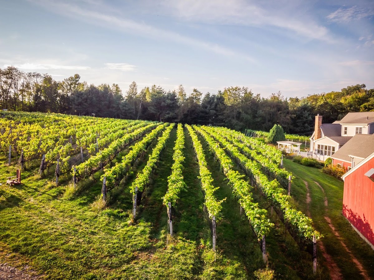 Taylor Brooke Winery