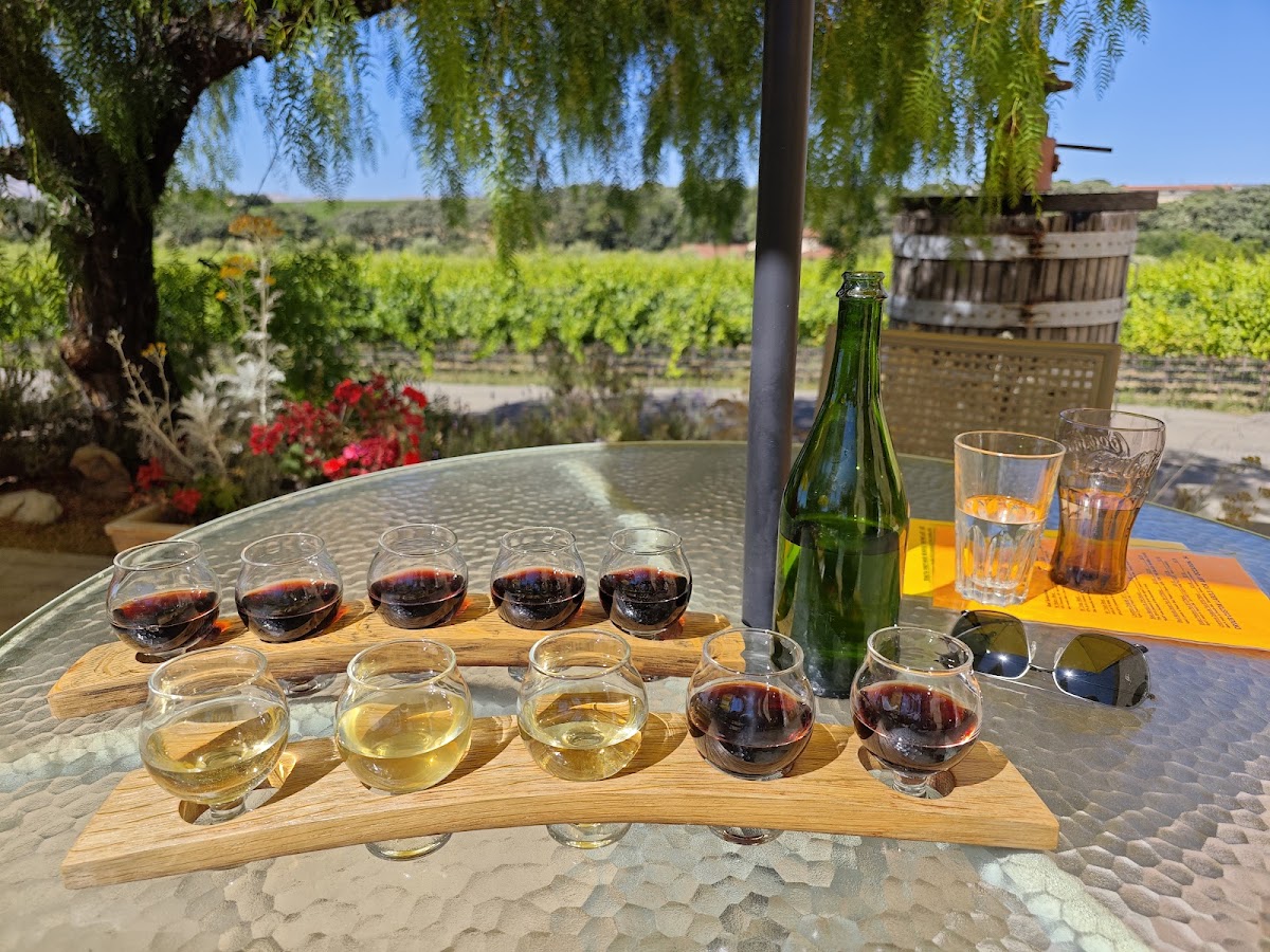 TEJADA VINEYARD COMPANY