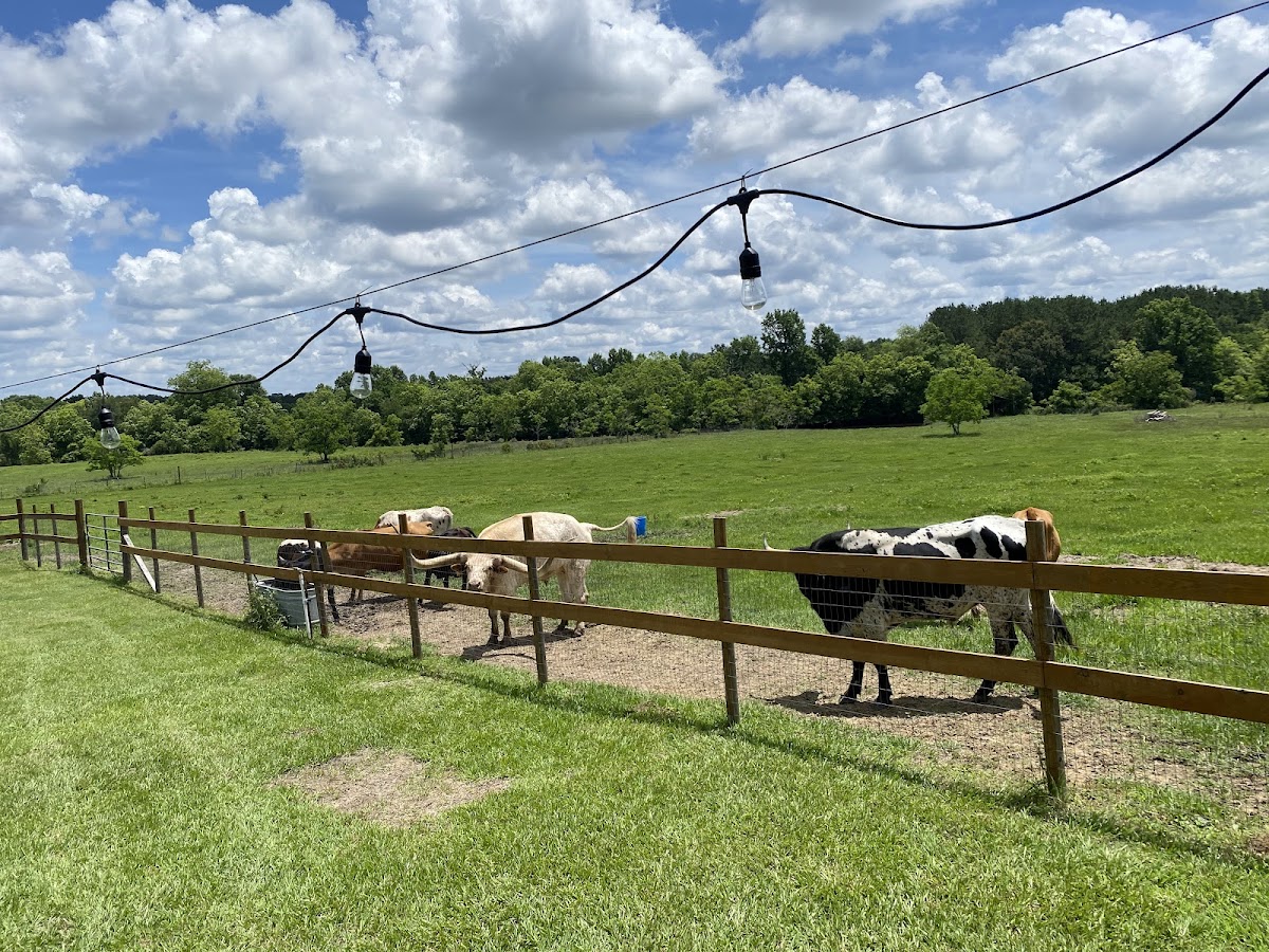 Tempe Creek Vineyard & Farms LLC