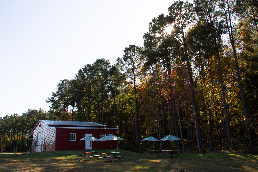 Tempest Cellars, Wildcat Wines