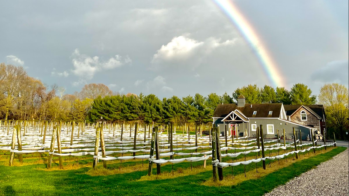Terra Vite North Fork Winery & Vineyard