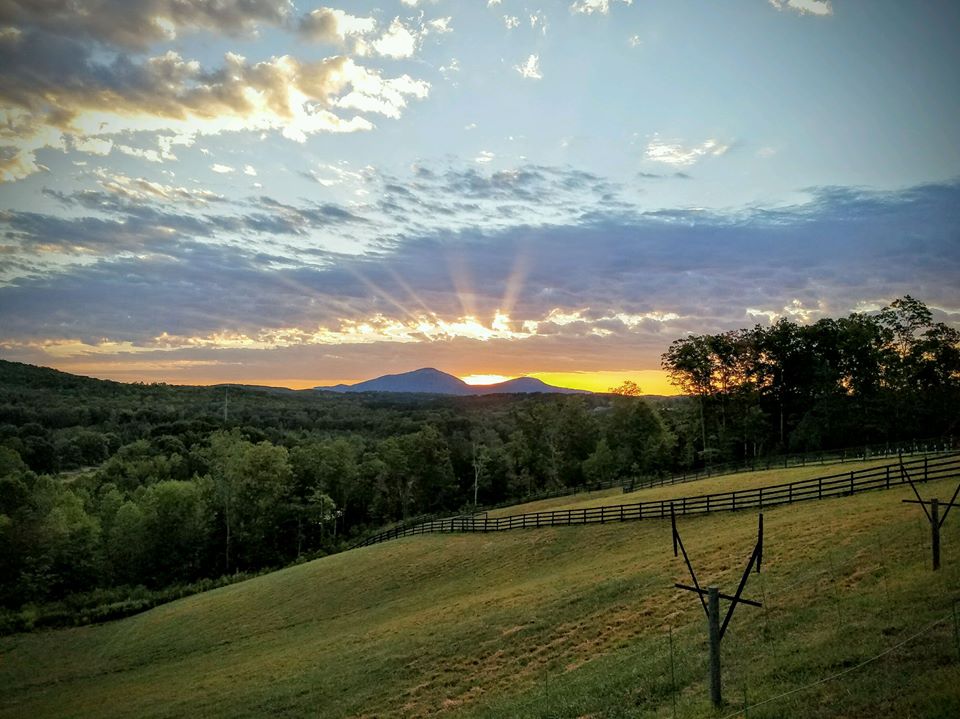 The Cottage Vineyard and Winery