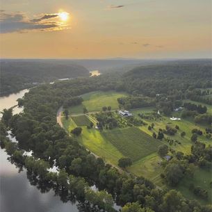 The Federal Twist Vineyard