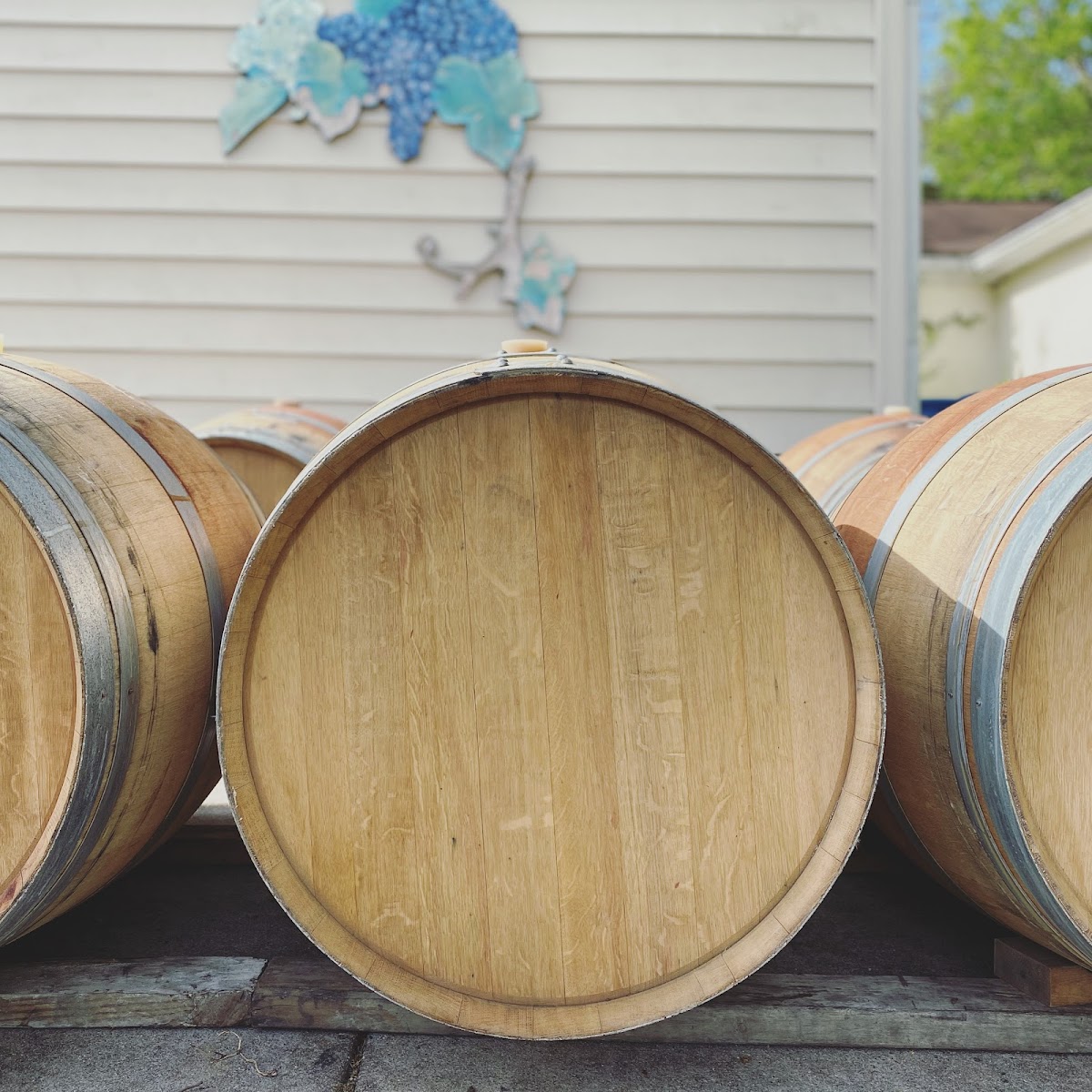 The Loew Vineyards, Inc.