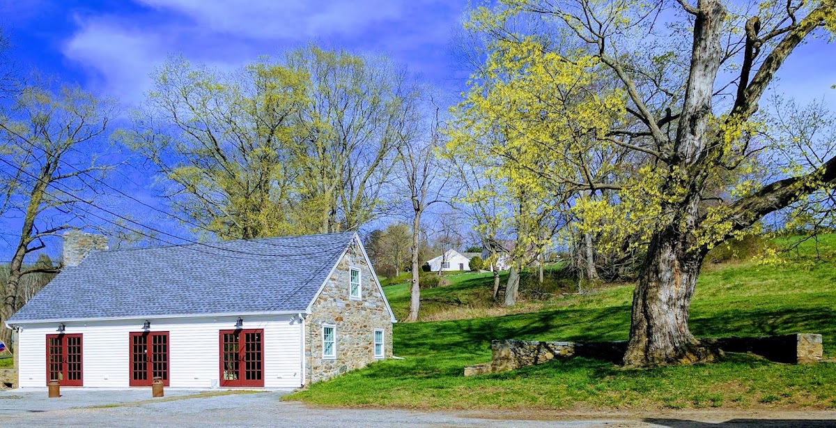 The Vineyard at Hillyland