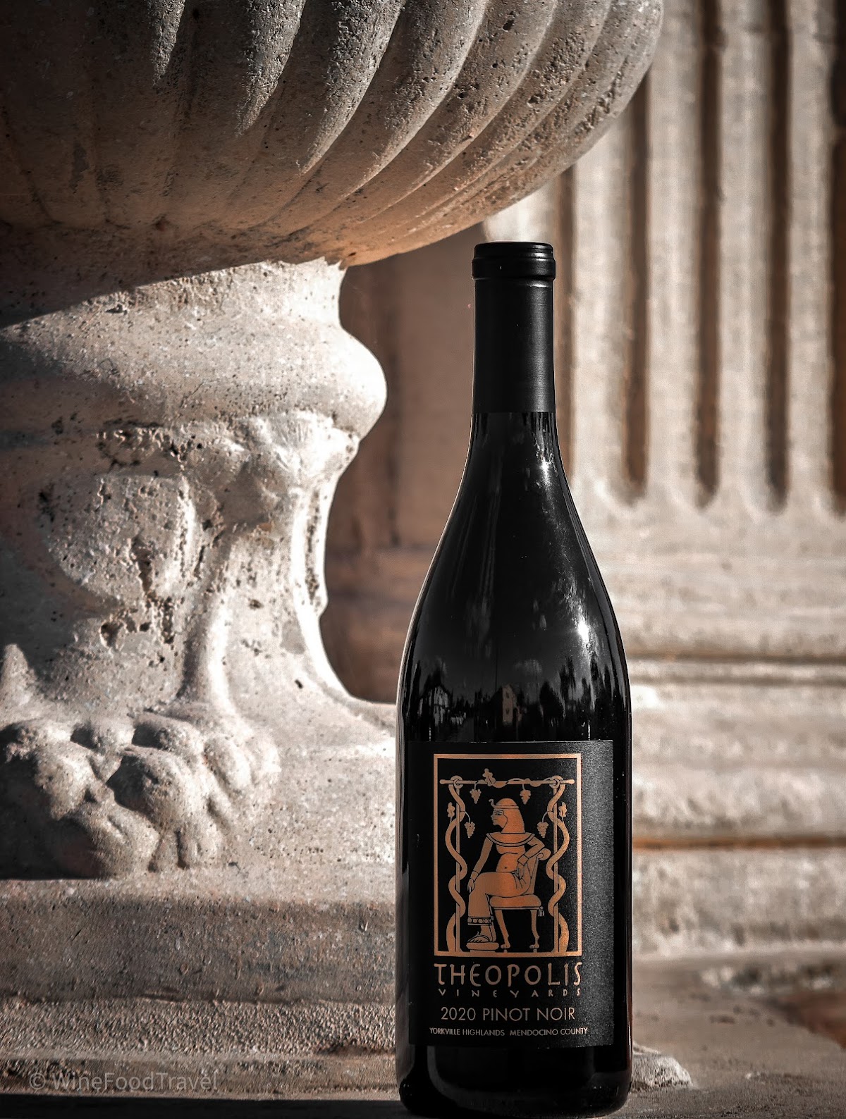 Theopolis Vineyards