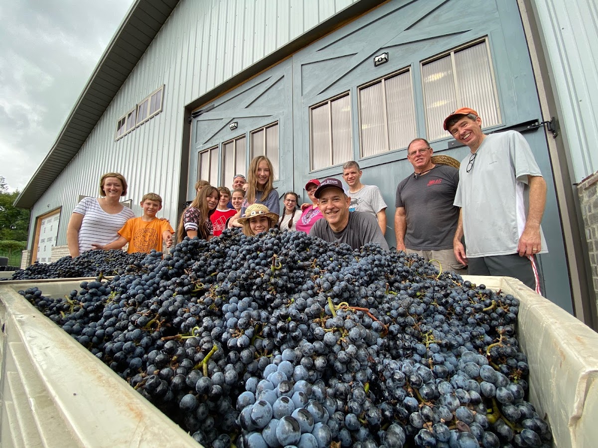 Three Strands Vineyard & Winery