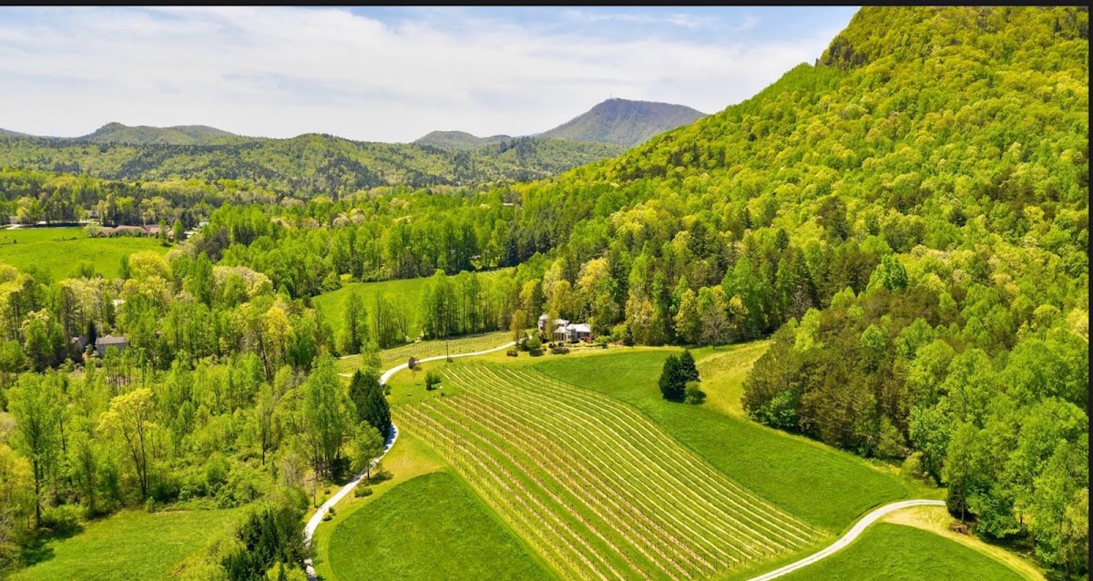 Tiger Mountain Vineyards, Inc.