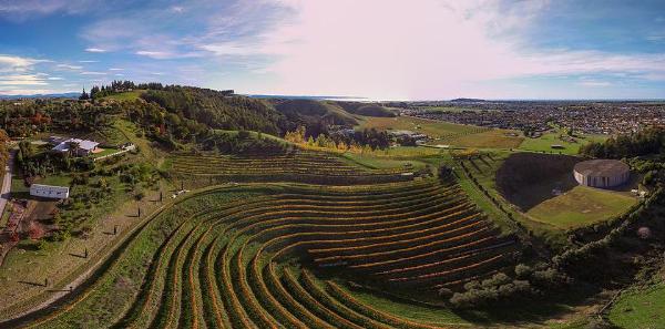 Tironui Estate