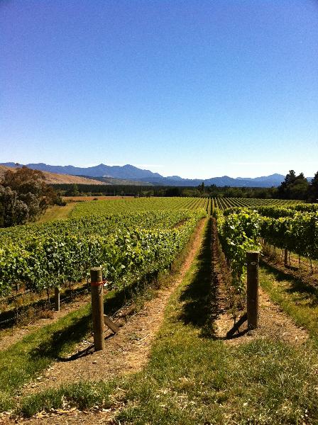 Totara Wines