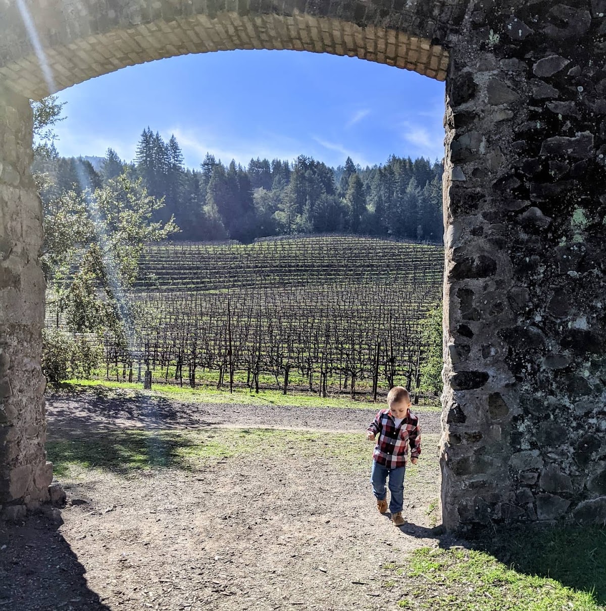 TRACY WINE CONSULTING LLC