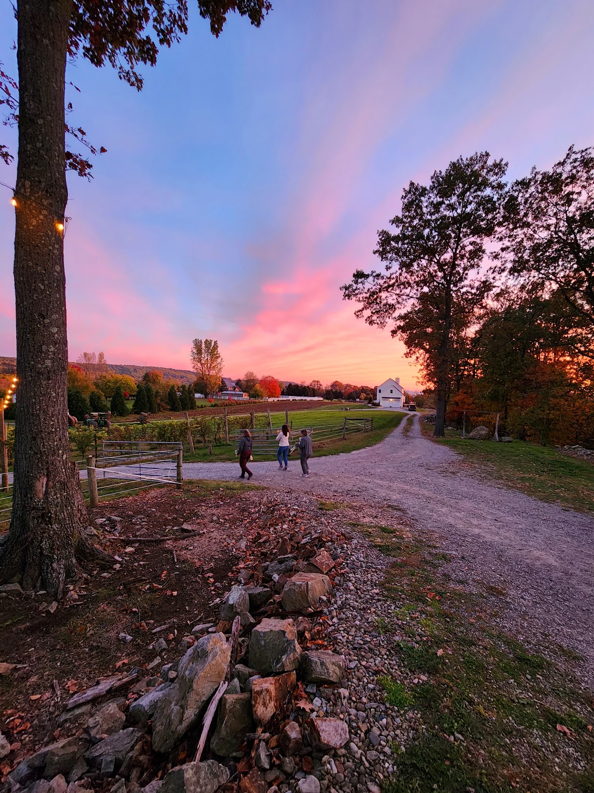 Little Ridge Vineyards