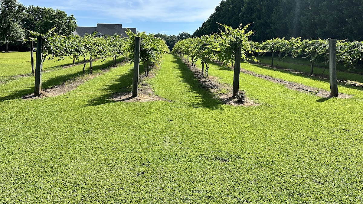 Roberts Vineyard