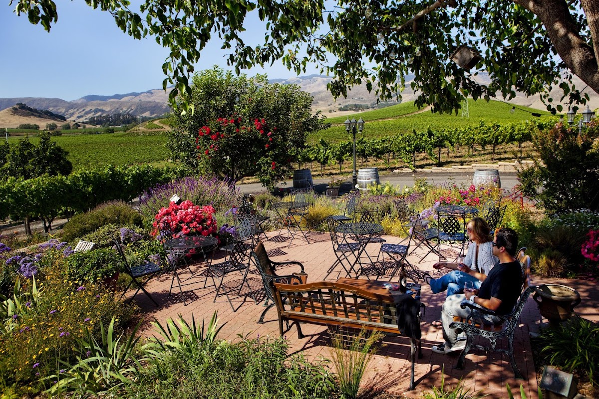 Wolff Vineyards