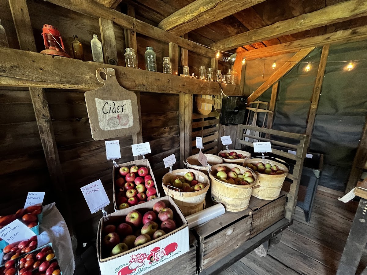 MAYNARD FARMS, INC.