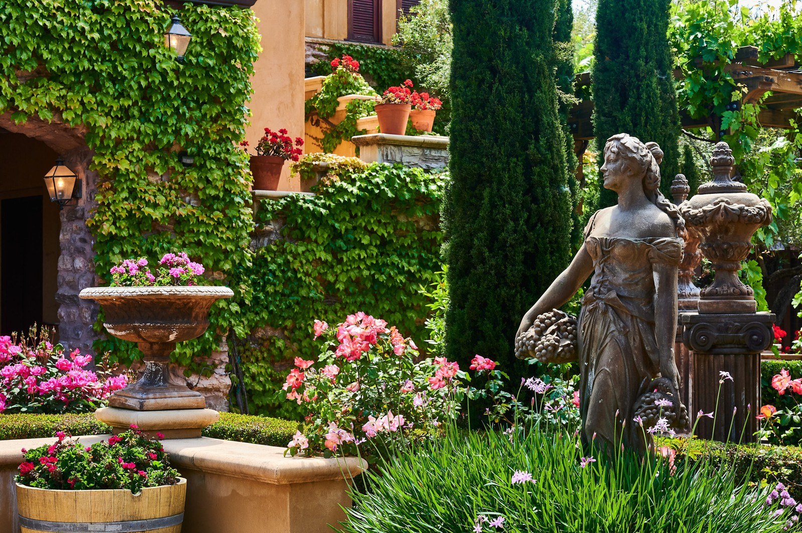 Regale Winery and Vineyards