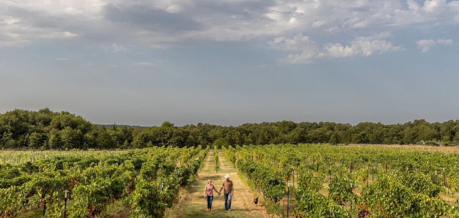 Lonesome Vine LLC