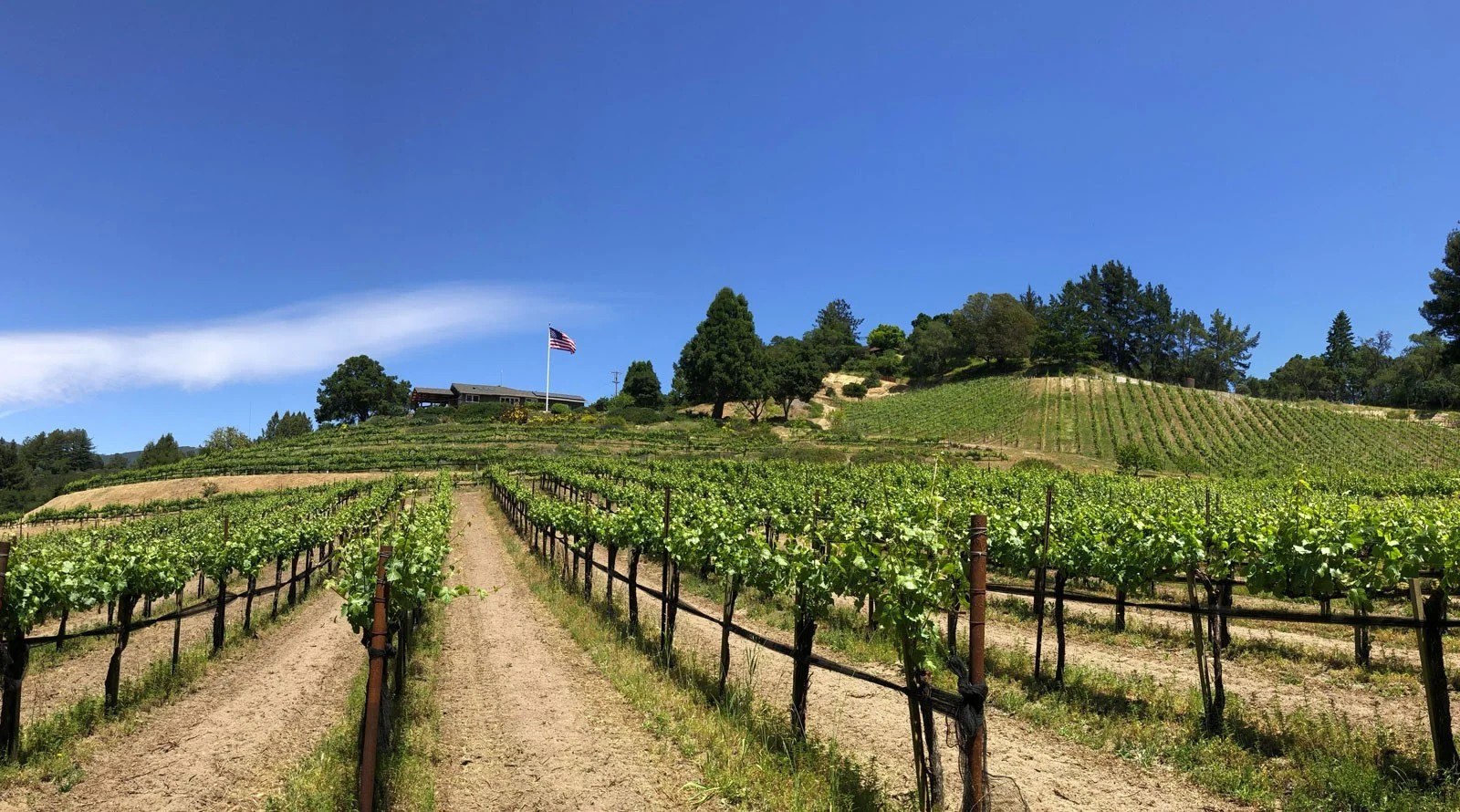 Ferrari Ranch Wines