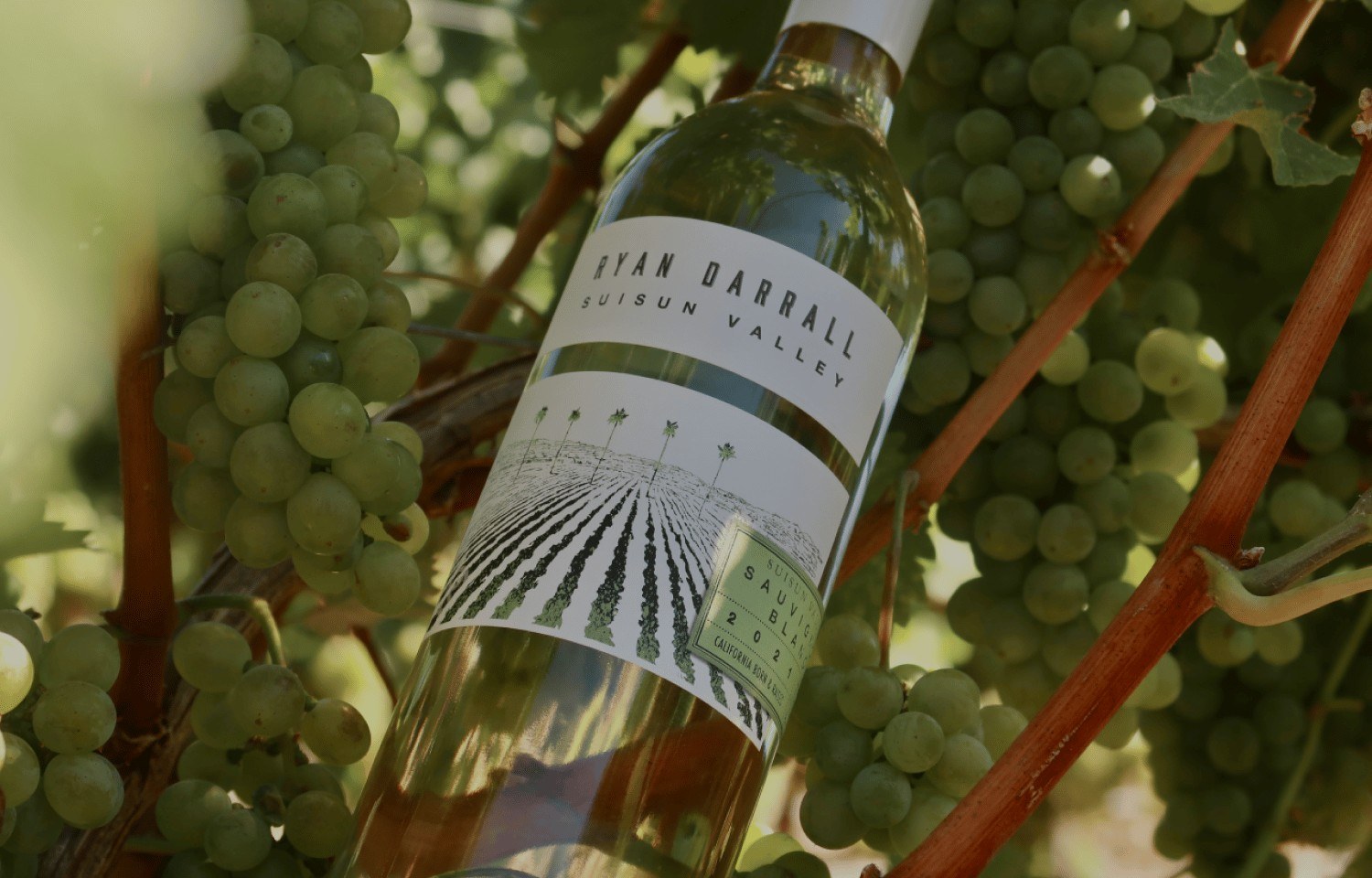 Ryan Darrall Wine LLC
