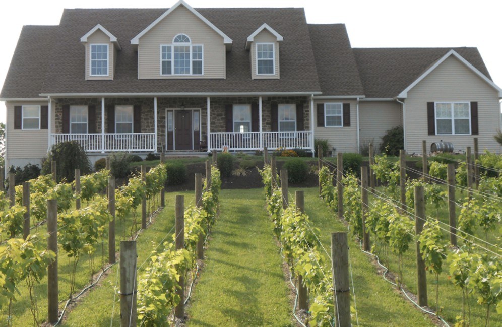 Aulenbach Wines