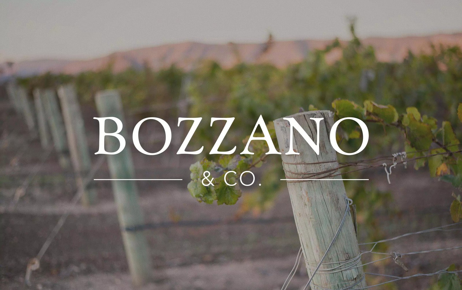 Bozzano & Co.