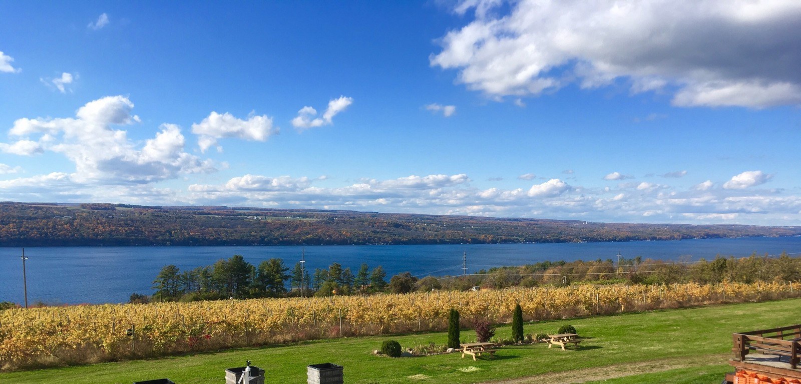 Leidenfrost Vineyards LLC
