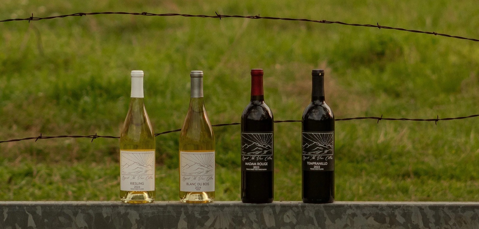 Beyond The Vine Cellars