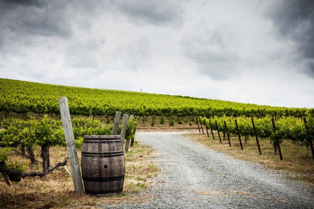 Mastroserio Winery