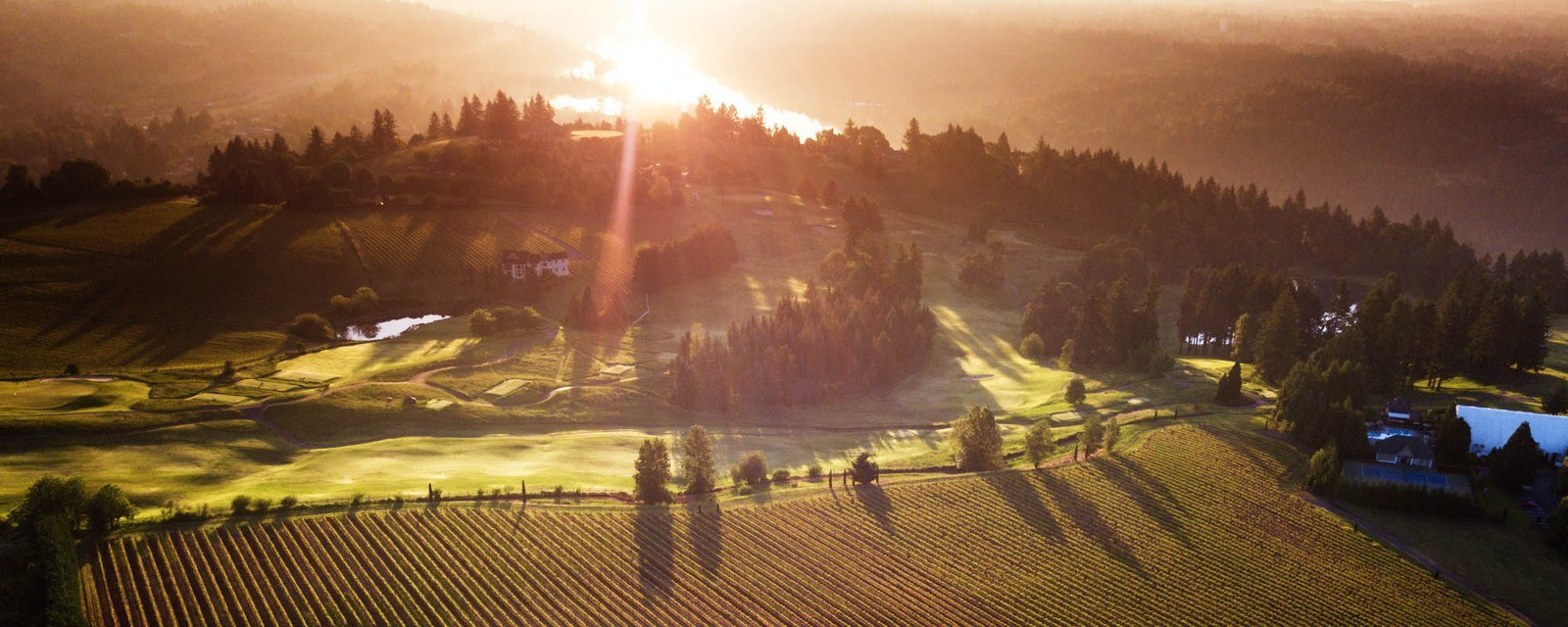 Dowsett Family Winery