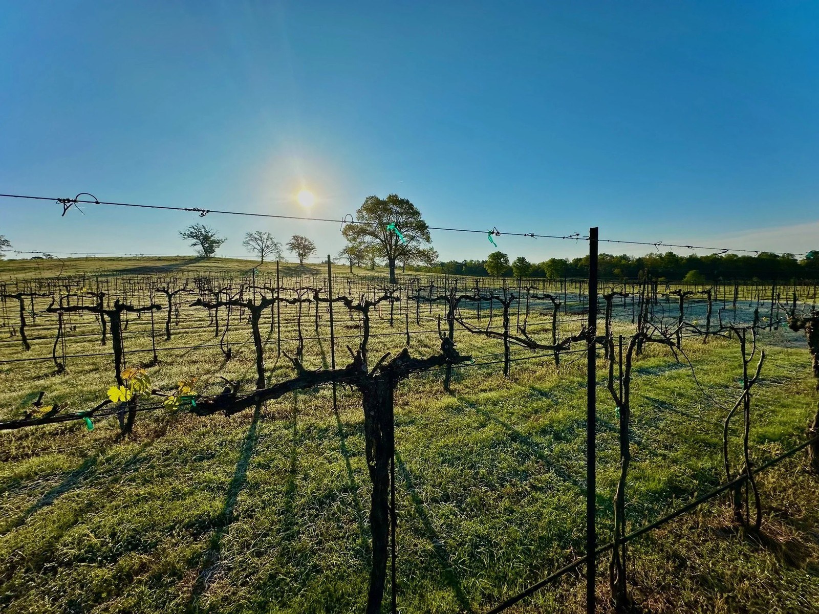 Rio Neches Estate, LLC